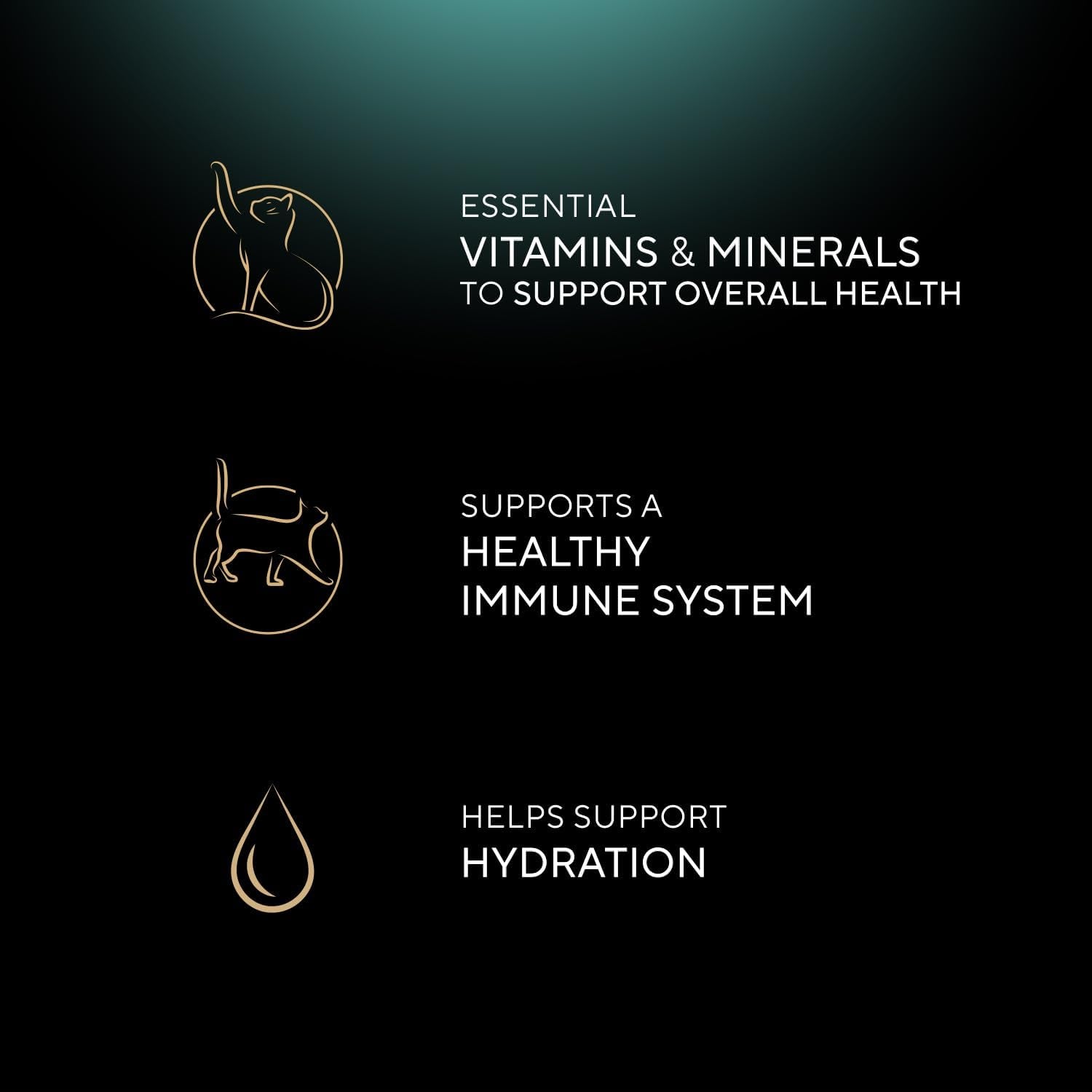 Perfect Portions Paté Wet Cat Food Tray Variety Packs