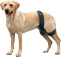 FlexiPaws Hip Brace – Comfort & Support for Stronger, Healthier Hips
