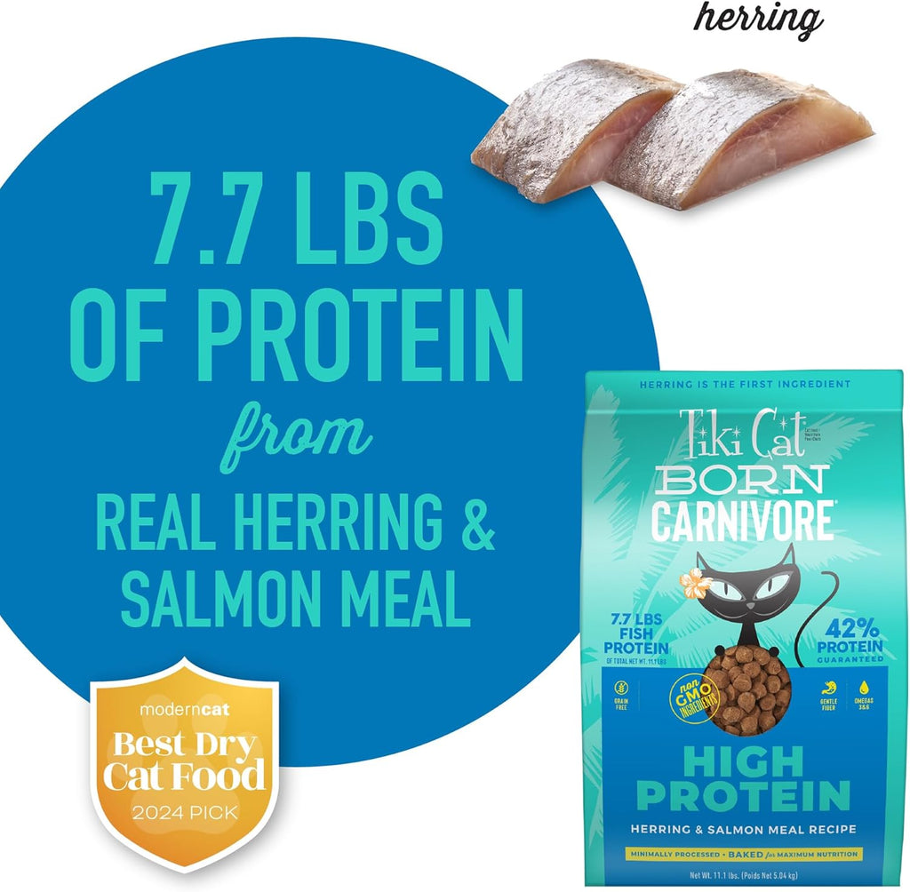Tiki Cat Born Carnivore High Protein, Herring & Salmon Meal, Grain-Free Baked Kibble to Maximize Nutrients, Dry Cat Food, 11.1 Lbs. Bag